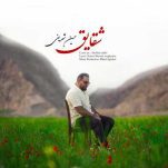 دانلود آهنگ جدید حسین شریفی به نام شقایق